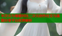 半次元与堆糖对比二次元创作社交与美图分享平台优势解析
