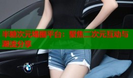 半糖次元塌圈平台：聚焦二次元互动与潮流分享